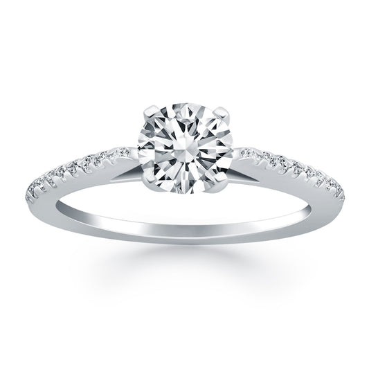 14k White Gold Micro Prong Diamond Cathedral Engagement Ring Mounting